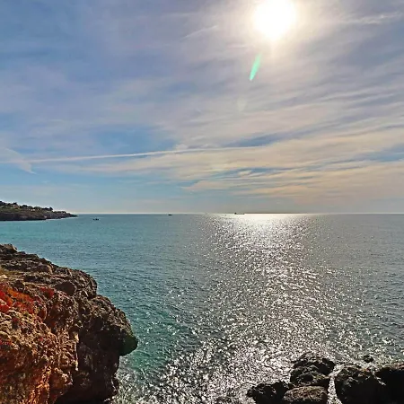 Studio Cabine Cosy En Rez De Jardin Face A La Mer Avec Parking Prive A - Fr-1-472a-159 Apartamento