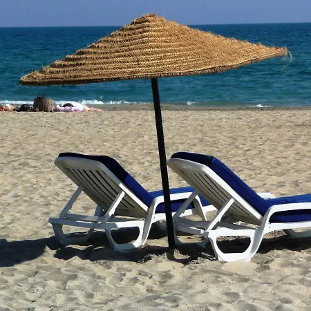 Studio Cabine Cosy En Rez De Jardin Face A La Mer Avec Parking Prive A - Fr-1-472a-159 * Sète